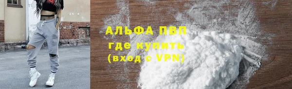 молекула духа Козельск