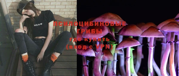трава Киренск