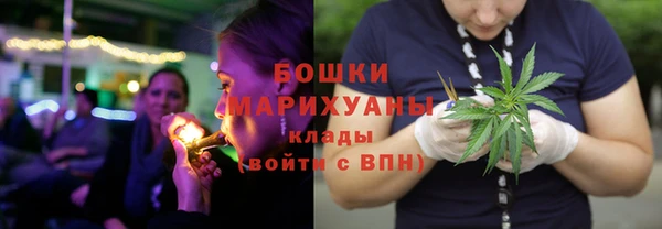 стафф Кодинск