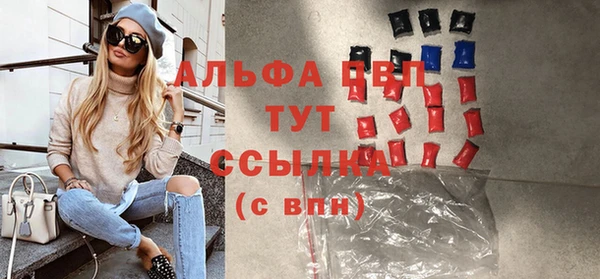 молекула духа Козельск