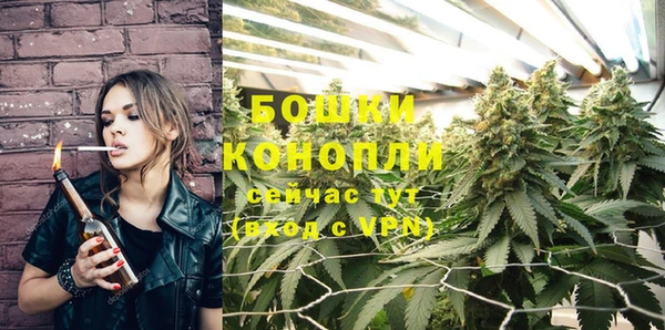 спайс Козловка