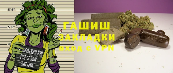 шишки Великий Новгород