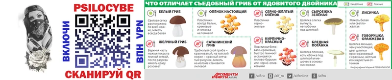 Псилоцибиновые грибы MAGIC MUSHROOMS  купить закладку  Верещагино 